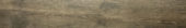 Western Juniper 8X47 | Glens Falls Tile & Supplies