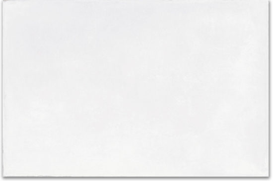 Whitehall Bianco 16x24 | Glens Falls Tile & Supplies