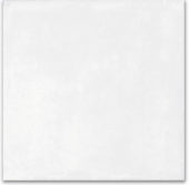 Whitehall Bianco 40x40 | Glens Falls Tile & Supplies