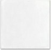 Whitehall Bianco 40x40 | Glens Falls Tile & Supplies