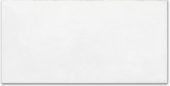 Whitehall Bianco 8x16F | Glens Falls Tile & Supplies
