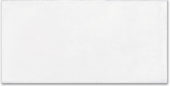 Whitehall Bianco 8x16F | Glens Falls Tile & Supplies