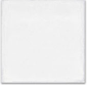 Whitehall Bianco 8x8F | Glens Falls Tile & Supplies
