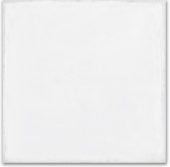 Whitehall Bianco 8x8F | Glens Falls Tile & Supplies