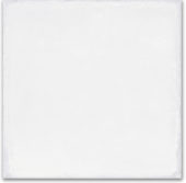 Whitehall Bianco 8x8F | Glens Falls Tile & Supplies