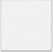 Whitehall Bianco 8x8F | Glens Falls Tile & Supplies