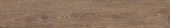 Woodlands 8X48 Nogal | Glens Falls Tile & Supplies