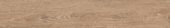 Woodlands 8X48 Nuez | Glens Falls Tile & Supplies