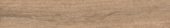 Woodlands 8X48 Nuez | Glens Falls Tile & Supplies