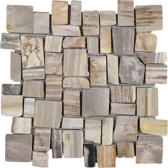 Cubic Fossil Wood Stone Mosaic | Glens Falls Tile & Supplies