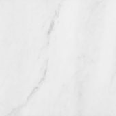 Bianco Venatino 12x12 Honed | Glens Falls Tile & Supplies