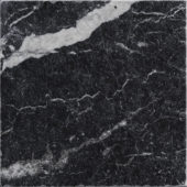 Obsession 10x10 Nero | Glens Falls Tile & Supplies