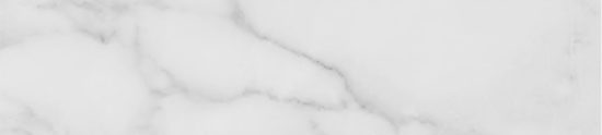 Obsession 2.5x10 Carrara | Glens Falls Tile & Supplies