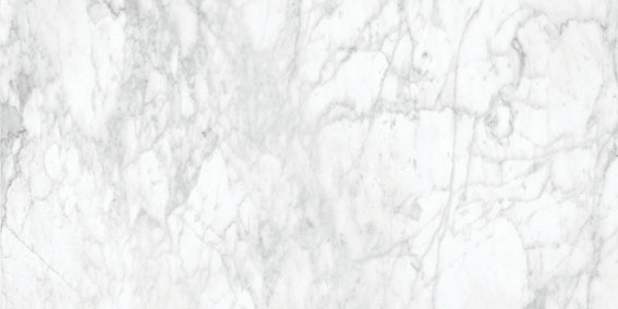 Royal Stoneworks 12X24 Old World Bianco Honed | Glens Falls Tile & Supplies