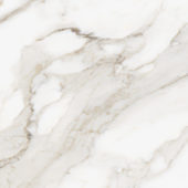 Royal Stoneworks 24X24 Calacatta Royale Honed | Glens Falls Tile & Supplies