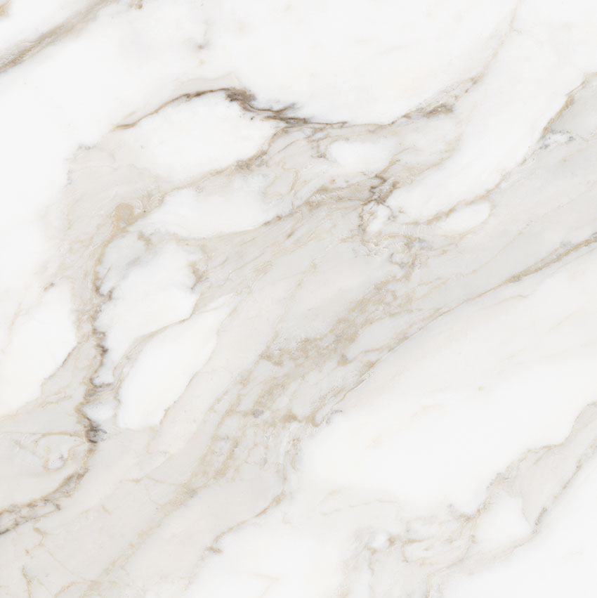 Royal Stoneworks 24X24 Calacatta Royale Polished | Glens Falls Tile & Supplies