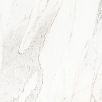 Royal Stoneworks 24X24 Crown Calacatta Honed