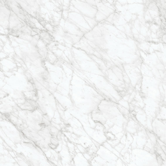 Royal Stoneworks 24X24 Old World Bianco Honed | Glens Falls Tile & Supplies