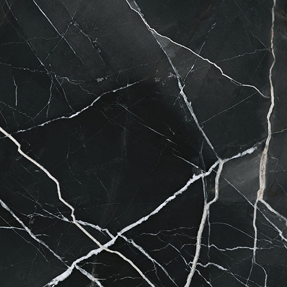 Royal Stoneworks 24X24 Regal Black Vein Polished | Glens Falls Tile & Supplies
