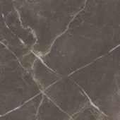 Royal Stoneworks 24X24 Regal Brown Marble Polished | Glens Falls Tile & Supplies