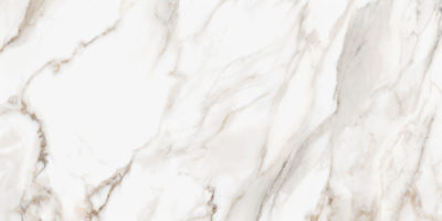 Royal Stoneworks 24X48 Calacatta Royale Honed