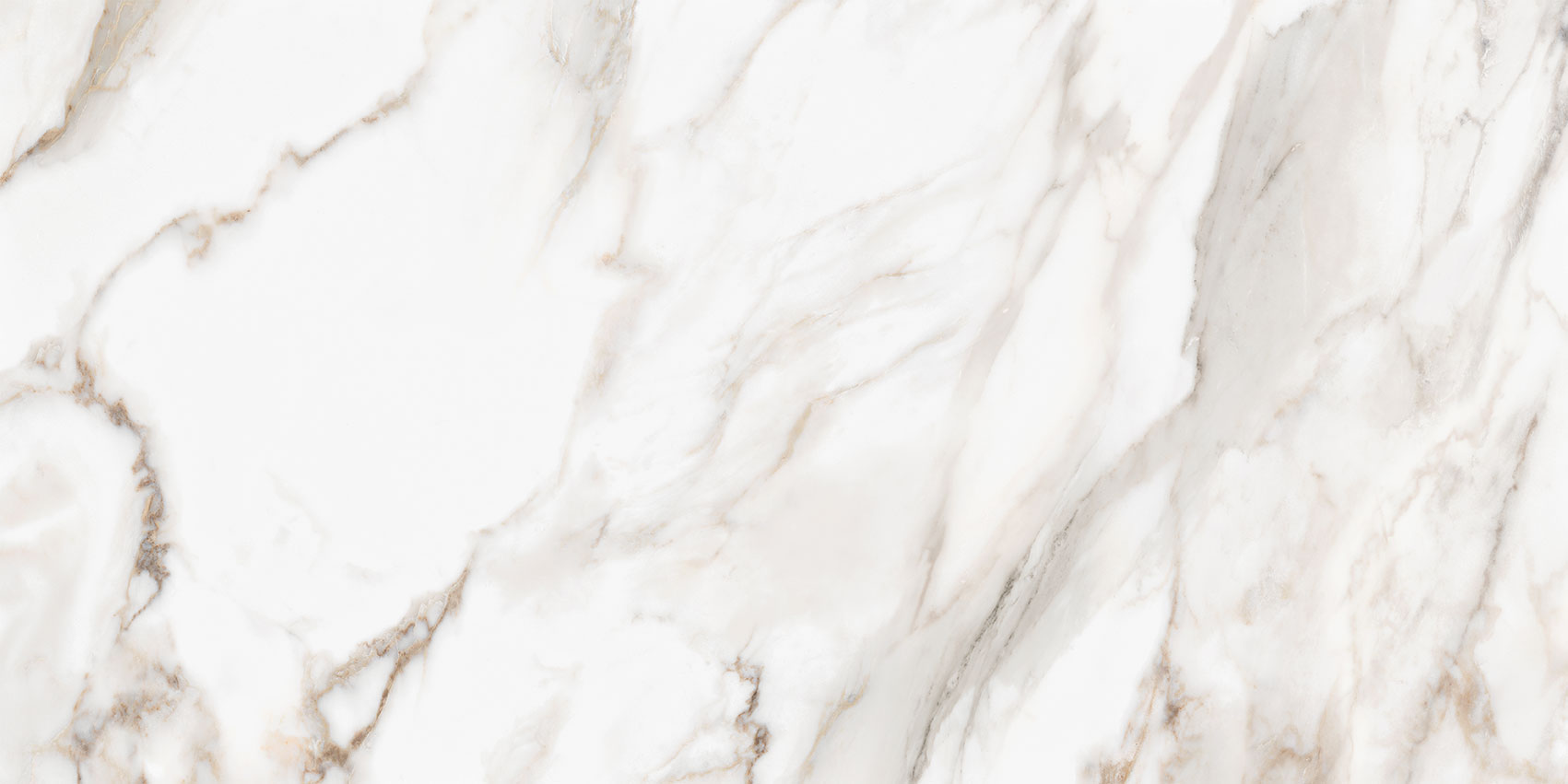 Royal Stoneworks 24X48 Calacatta Royale Honed | Glens Falls Tile & Supplies