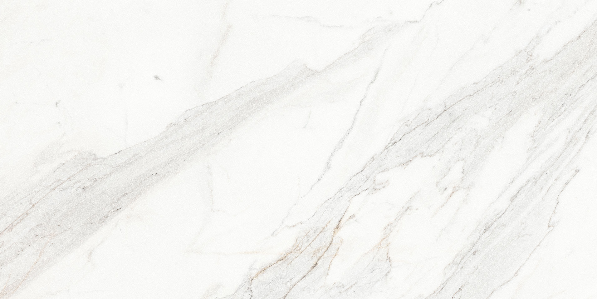 Royal Stoneworks 24X48 Crown Calacatta Honed | Glens Falls Tile & Supplies