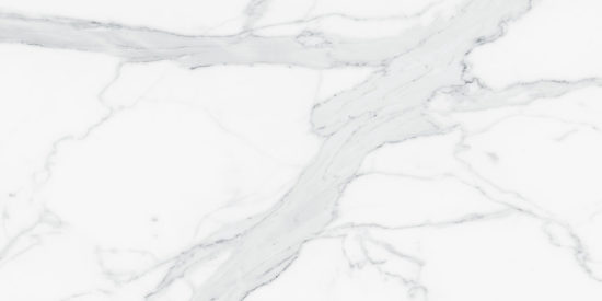Royal Stoneworks 24X48 Grandvein White Honed