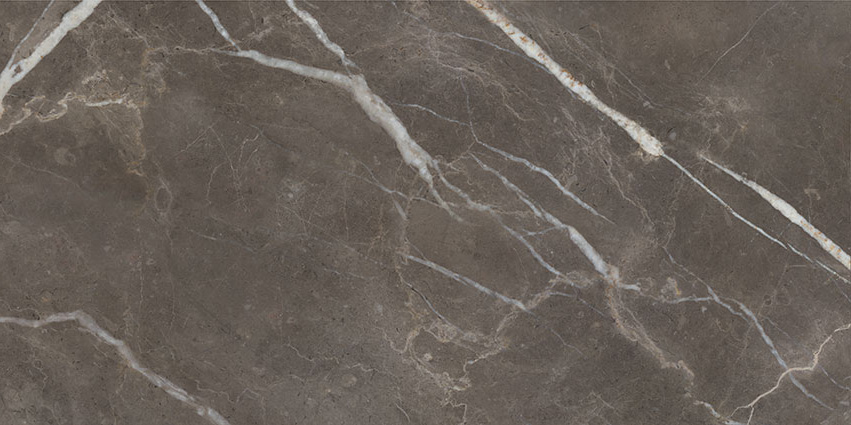 Royal Stoneworks 24X48 Regal Brown Marble Vintage | Glens Falls Tile & Supplies