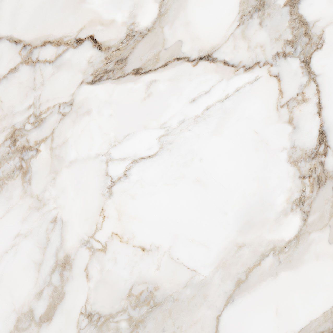 Royal Stoneworks 36X36 Calacatta Royale Honed | Glens Falls Tile & Supplies