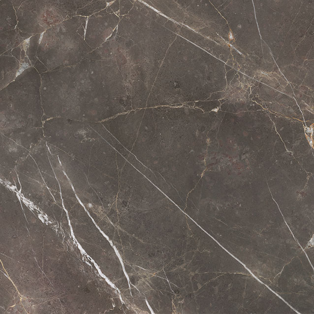Royal Stoneworks 36X36 Regal Brown Marble Honed | Glens Falls Tile & Supplies
