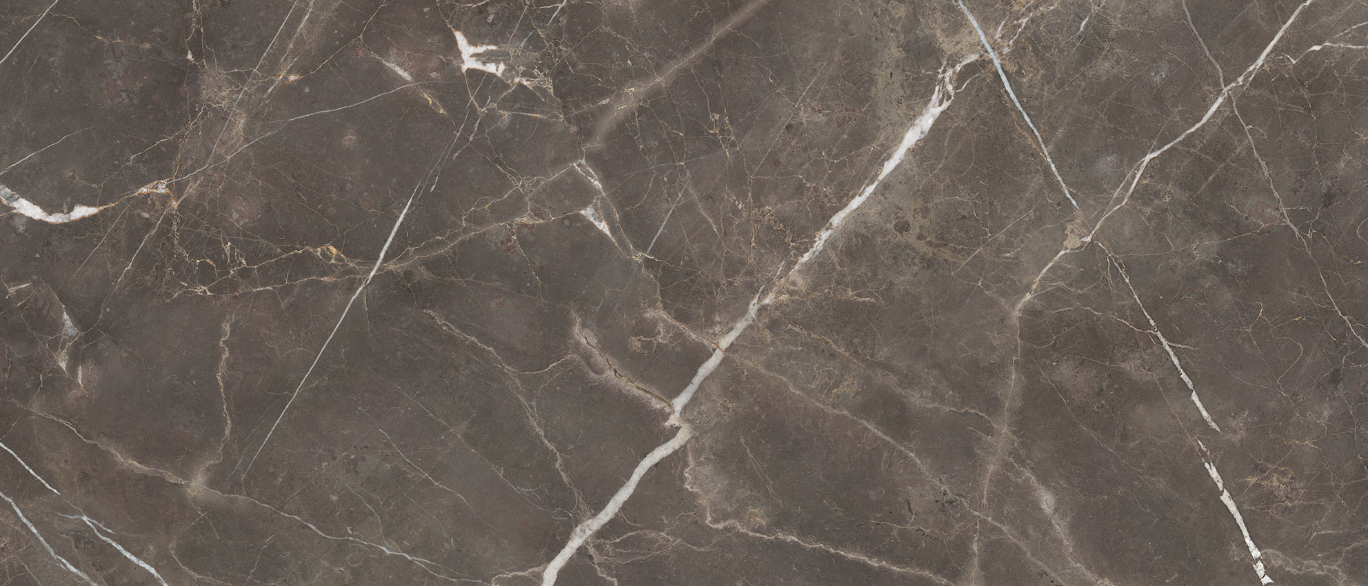 Royal Stoneworks 48X110 Regal Brown Marble Polished | Glens Falls Tile & Supplies