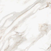 Royal Stoneworks 48X48 Calacatta Royale Honed | Glens Falls Tile & Supplies
