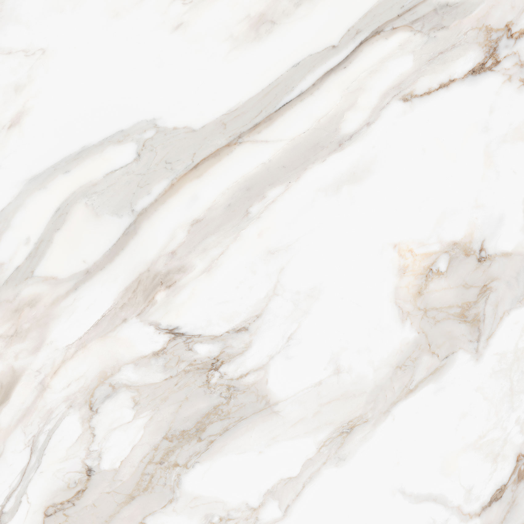 Royal Stoneworks 48X48 Calacatta Royale Honed | Glens Falls Tile & Supplies