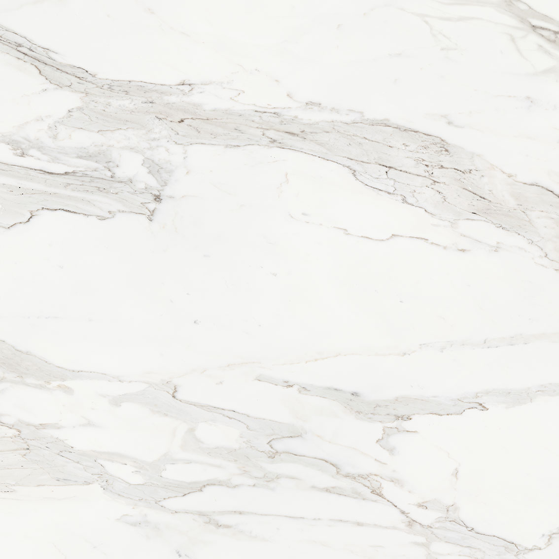 Royal Stoneworks 48X48 Crown Calacatta Honed | Glens Falls Tile & Supplies