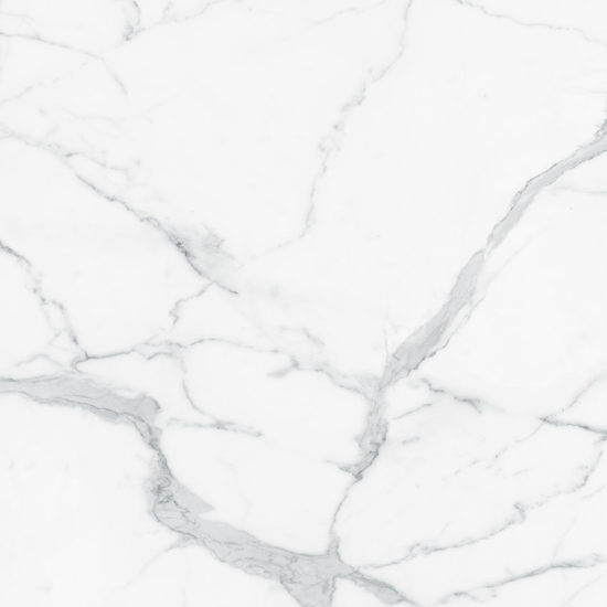 Royal Stoneworks 48X48 Grandvein White Honed | Glens Falls Tile & Supplies