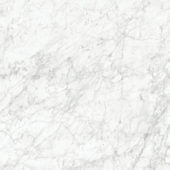 Royal Stoneworks 48X48 Old World Bianco Polished | Glens Falls Tile & Supplies