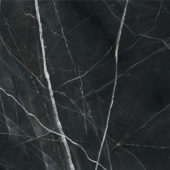 Royal Stoneworks 48X48 Regal Black Vein Honed | Glens Falls Tile & Supplies