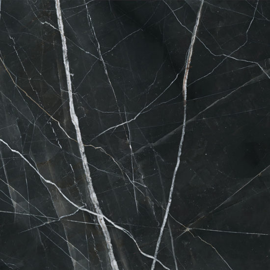 Royal Stoneworks 48X48 Regal Black Vein Honed | Glens Falls Tile & Supplies