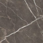 Royal Stoneworks 48X48 Regal Brown Marble Honed | Glens Falls Tile & Supplies