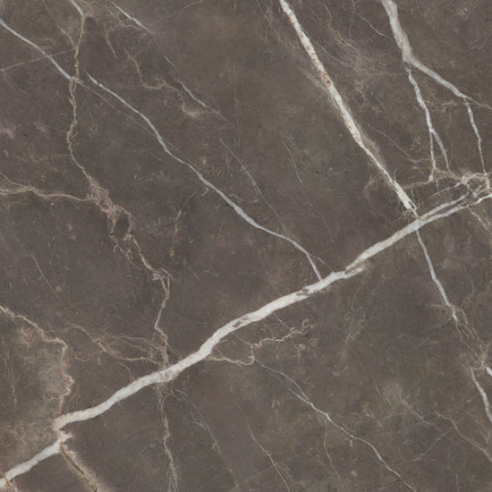 Royal Stoneworks 48X48 Regal Brown Marble Honed