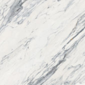 Royal Stoneworks 48X48 Regal White Vein Honed | Glens Falls Tile & Supplies
