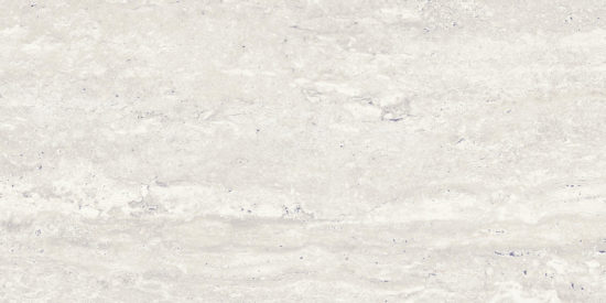 Saturnia 12x24 Roman Matte | Glens Falls Tile & Supplies