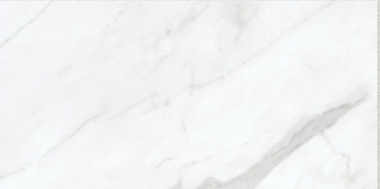 Altezza 12x24 Carrara | Glens Falls Tile & Supplies