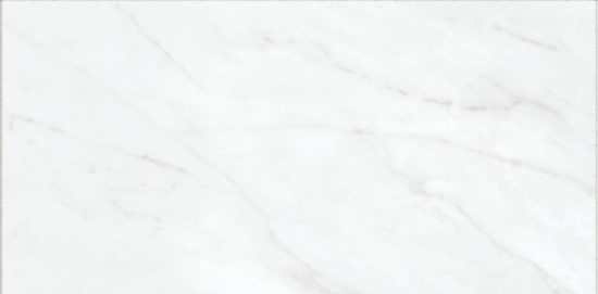 Altezza 12x24 Carrara | Glens Falls Tile & Supplies