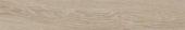 Aspen 6x36 Paper Birch | Glens Falls Tile & Supplies