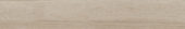 Aspen 6x36 Paper Birch | Glens Falls Tile & Supplies