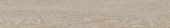Aspen 6x36 Paper Birch | Glens Falls Tile & Supplies