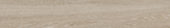 Aspen 8x48 Paper Birch | Glens Falls Tile & Supplies