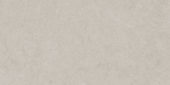 Lithoform 12X24 Crosscut Coast | Glens Falls Tile & Supplies